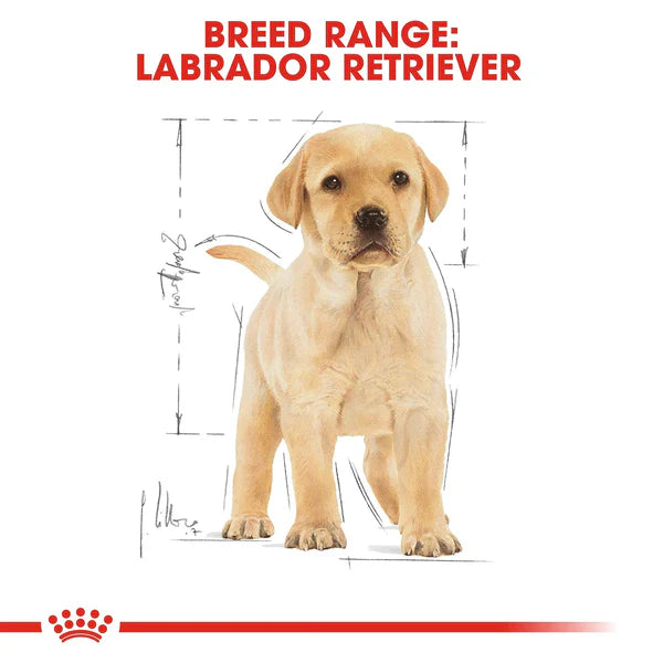 Royal Canin Labrador Retriever Puppy Food, 3kg.