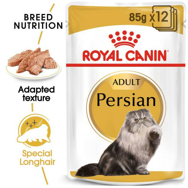 Healthy cat diet food

