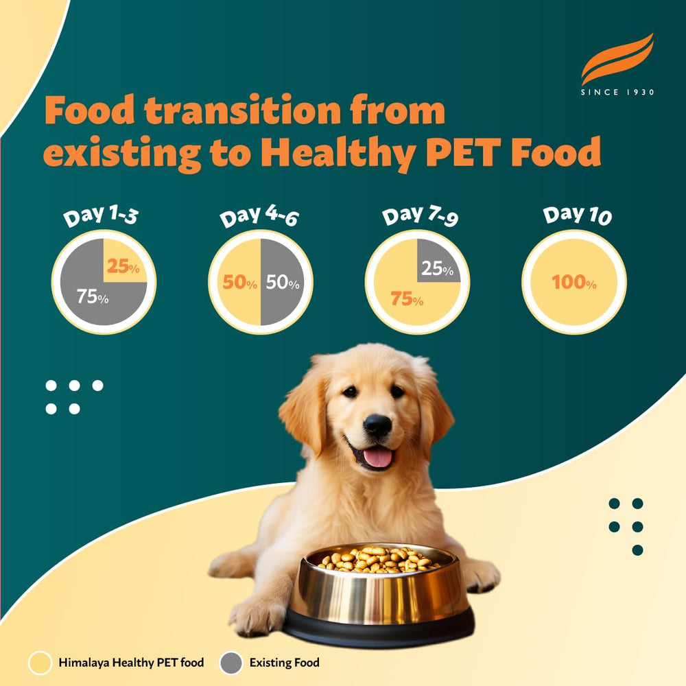 Dog with a bowl of food transitioning from existing to healthy pet food over 10 days, with a brand logo.