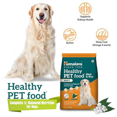 Himalaya Healthy Pet Food package with a dog sitting next to it on a white background
