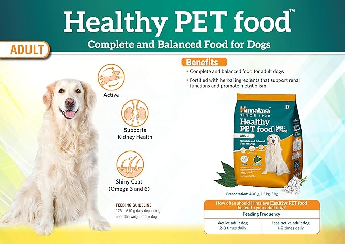 Dog food package with a dog on a yellow background