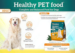 Dog food package with a dog on a yellow background