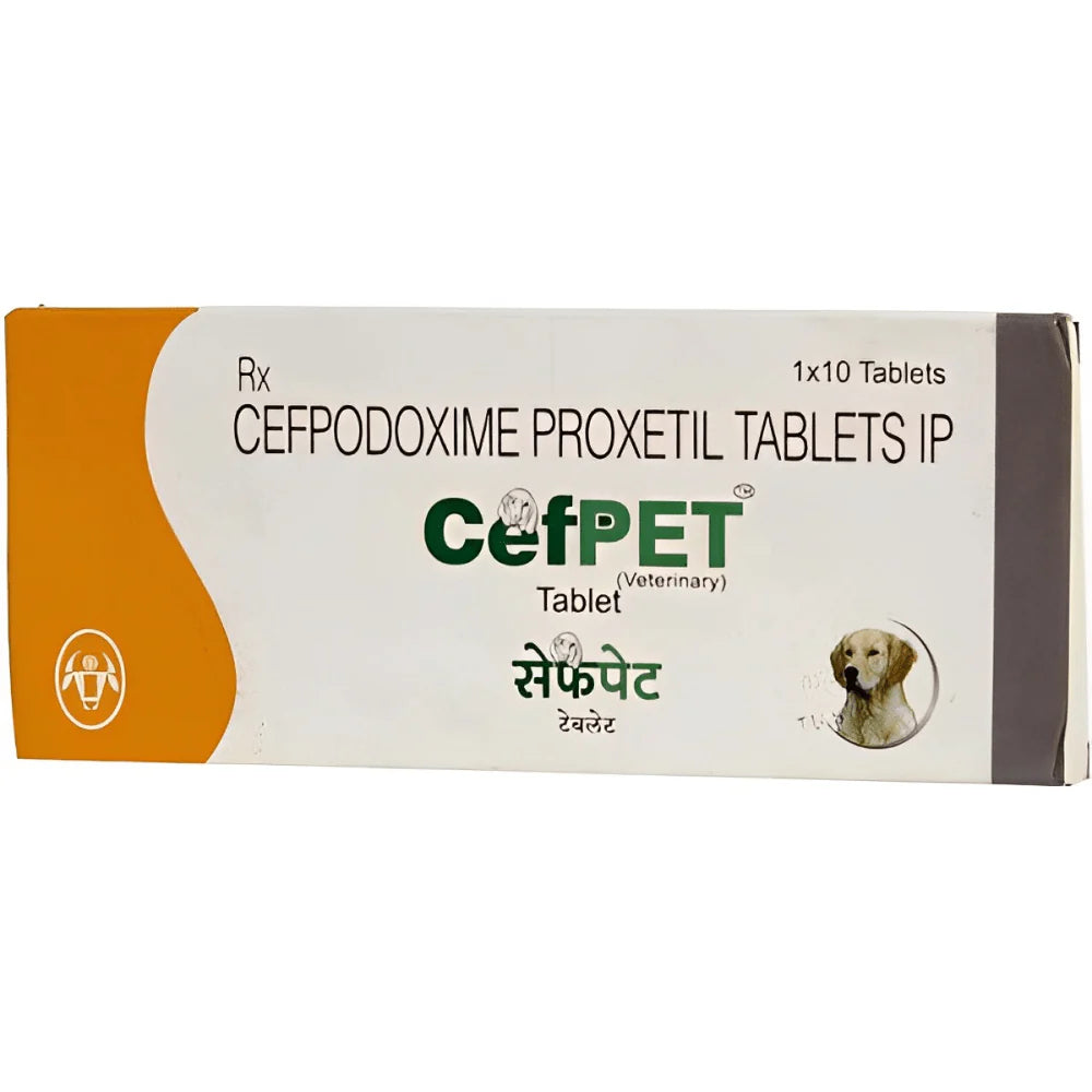 Box of CefPET veterinary medication with a dog illustration on a white background