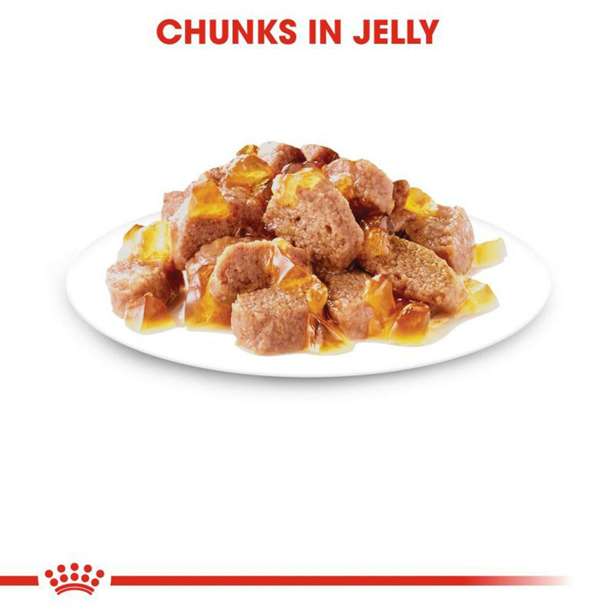Royal Canin Kitten Instinctive Jelly Wet Food.