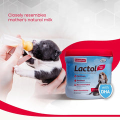 Beaphar Lactol Puppy Milk Replacement Powder.