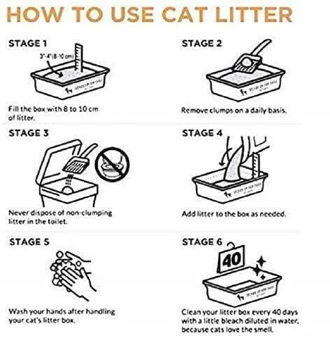 Step-by-step guide on how to use cat litter with illustrations and text.
