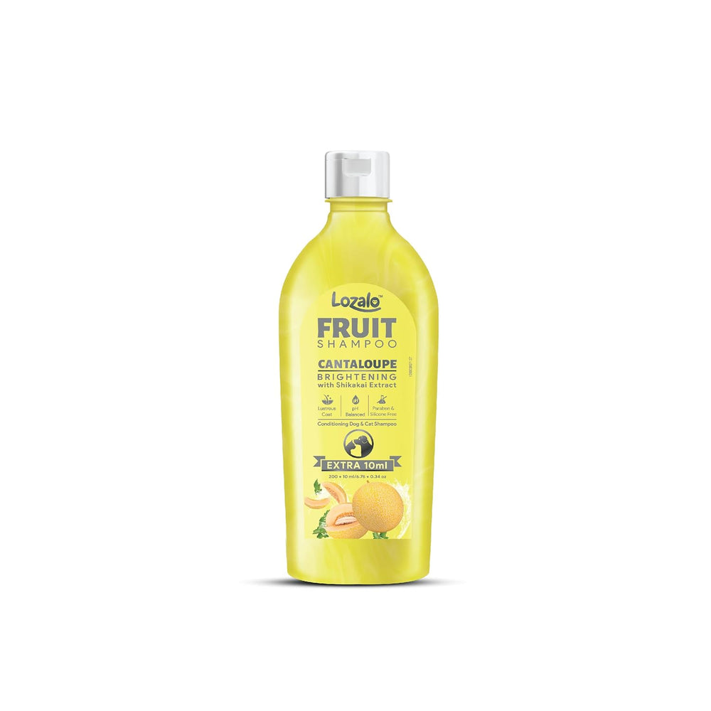 Lozalo Cantaloupe Shampoo, gentle conditioning for dogs and cats.