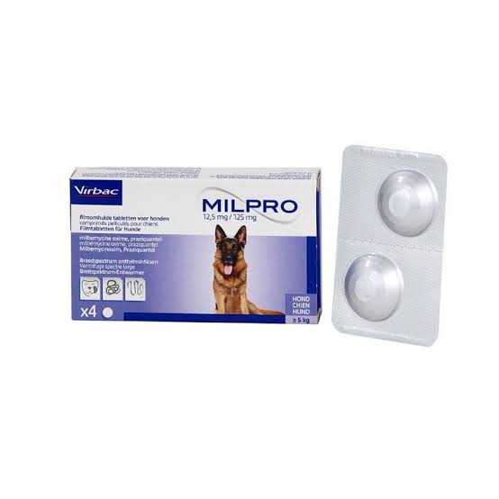Virbac Milpro Dewormer for Dogs (above 5kg) 2x2 Tablets - Dspetstore.com
