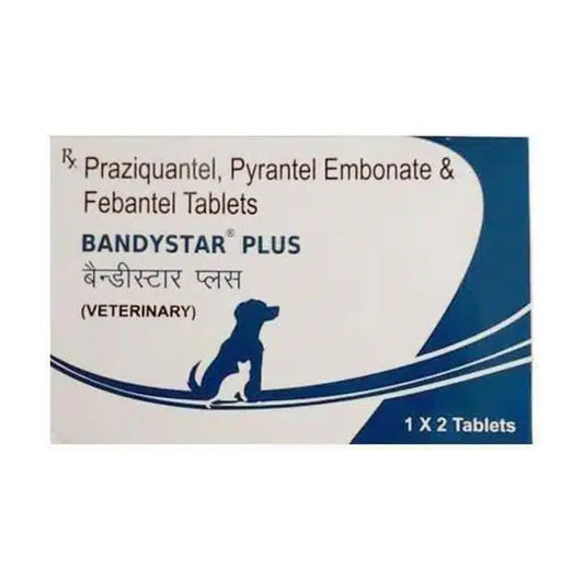 Box of Bandystar Plus veterinary medication with a dog silhouette on a white background