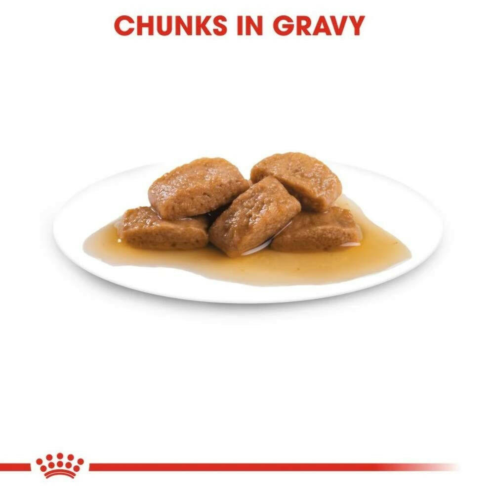 Royal Canin Maxi Adult Dog Wet Food.