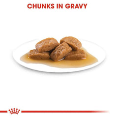 Royal Canin Maxi Adult Dog Wet Food.