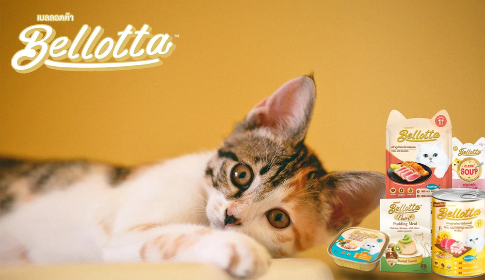 Bellota Pouch Kittens Tuna Pate Wet Cat Food.