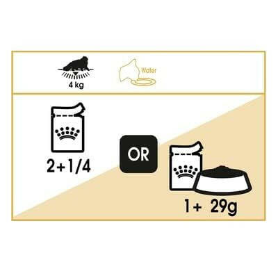 High-quality cat nutrition
