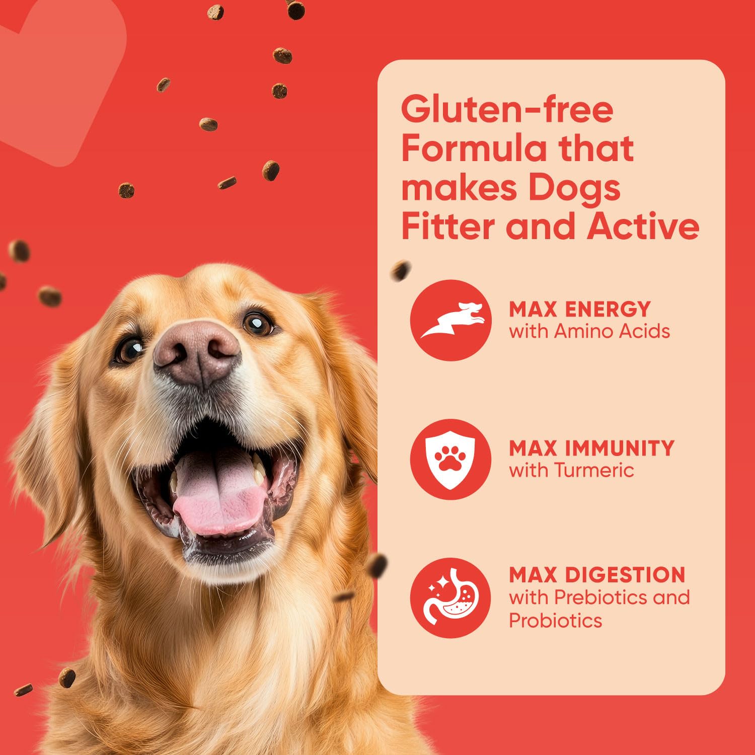 Nutritious PetMax Smarty dry dog food kibble for adult dogs