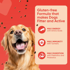 Nutritious PetMax Smarty dry dog food kibble for adult dogs
