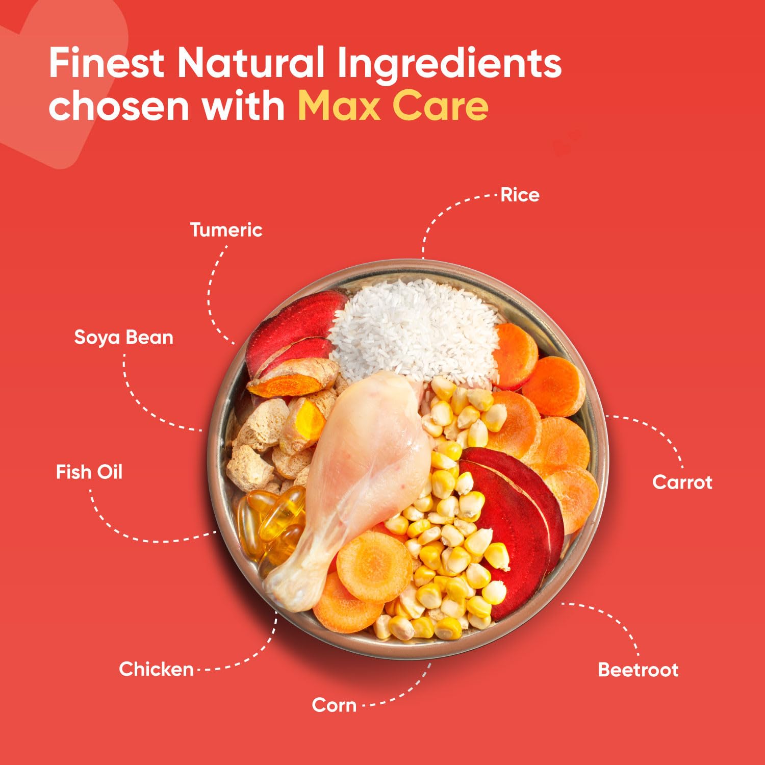 PetMax Smarty adult dog food chicken flavor packaging details