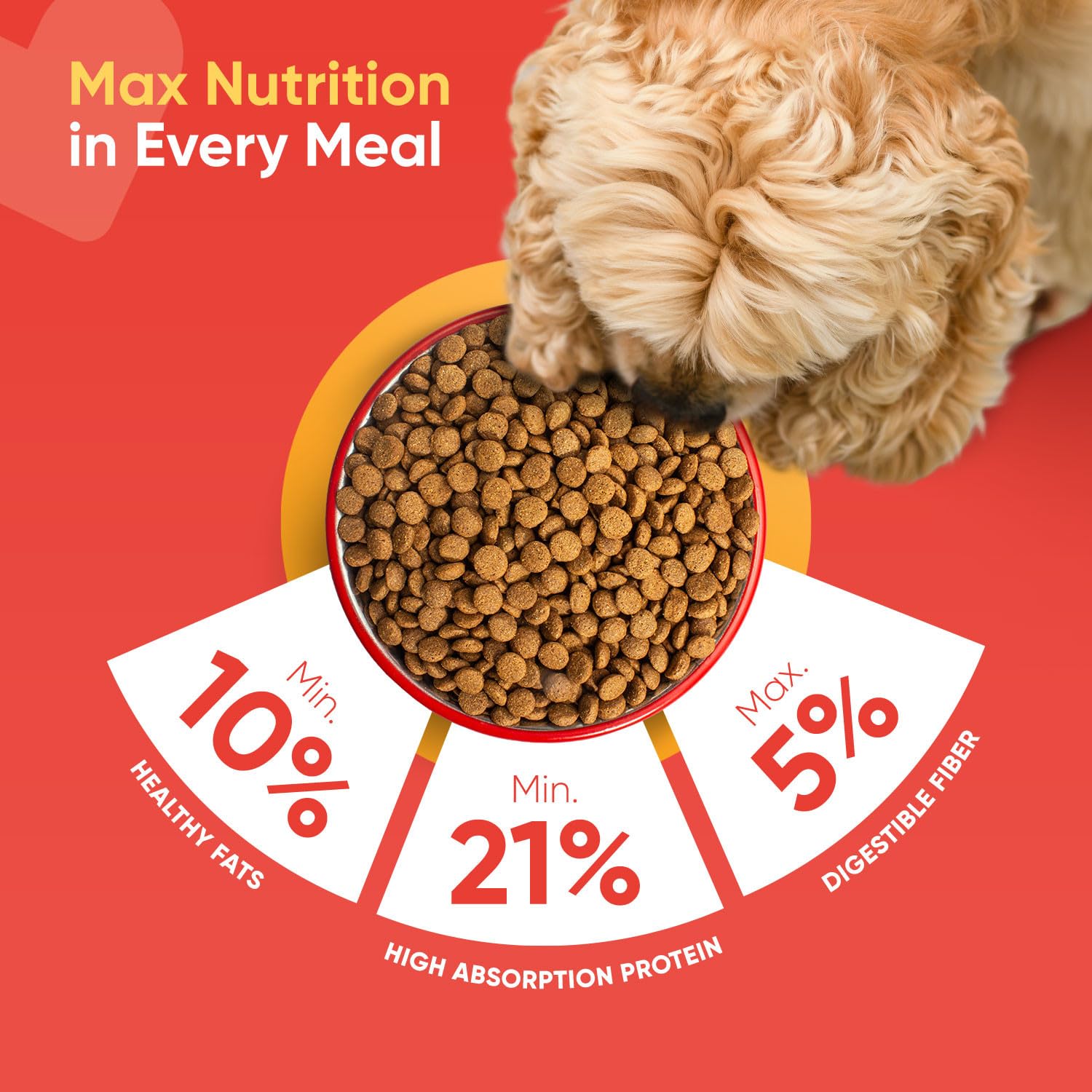 Best chicken and rice dry dog food bowl with PetMax Smarty
