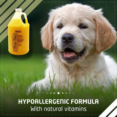 Dog in grass with yellow bottle labeled 'Wahl' and text about hypoallergenic formula.