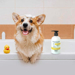 Dog in a bathtub with a bottle of Wahl shed control product and a rubber duck.
