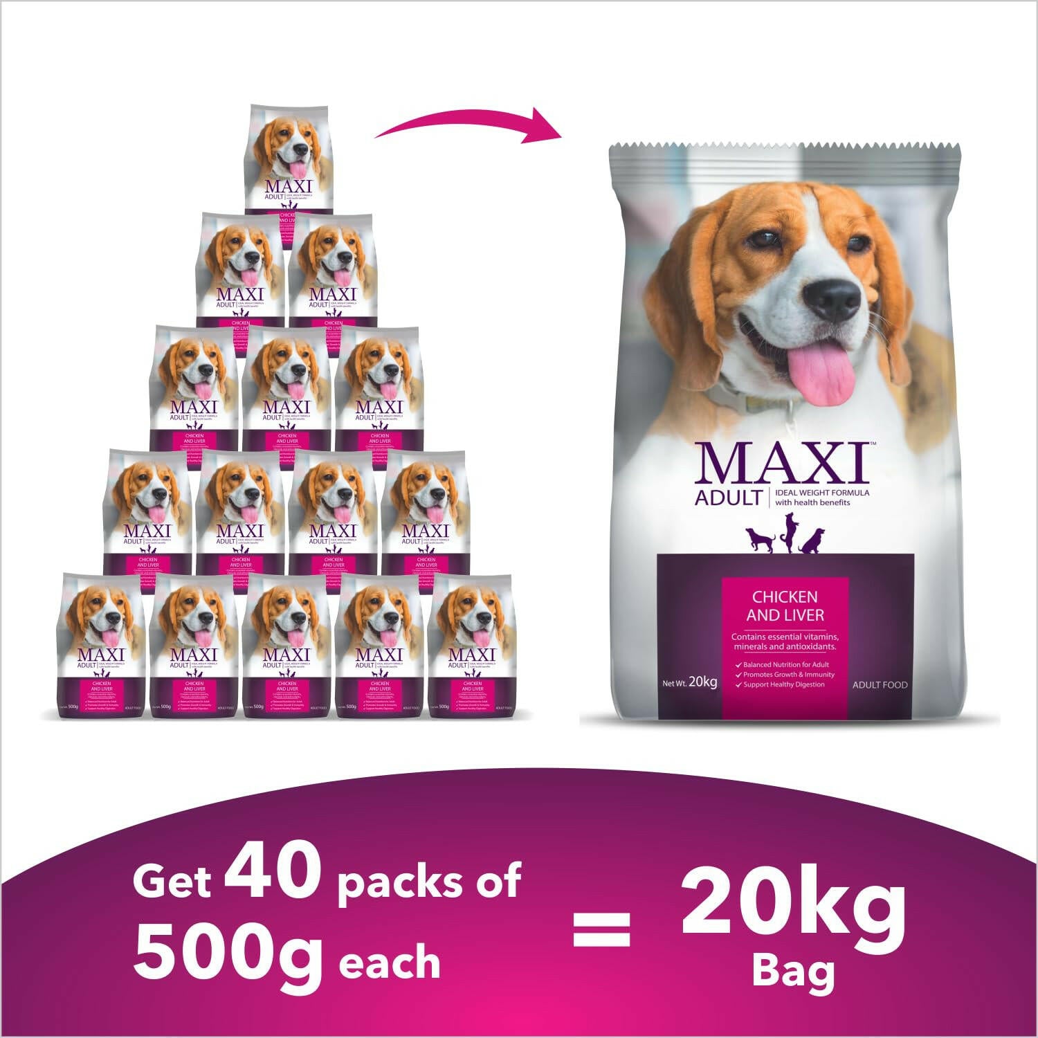 Maxi Adult Chicken and Liver Dog Dry Food.