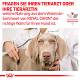 Royal Canin Gastrointestinal Adult Dog Dry Food 2 kg