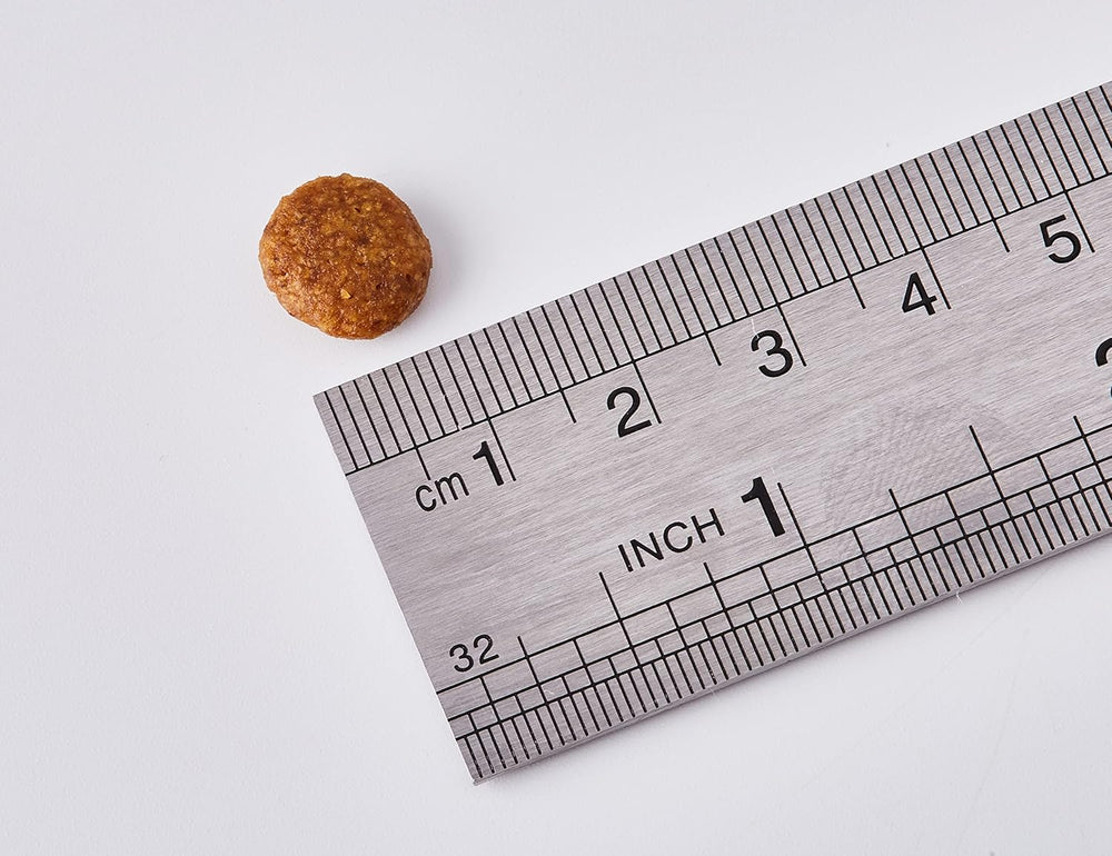 Small round brown object next to a metal ruler on a white background