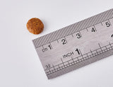 Small round brown object next to a metal ruler on a white background