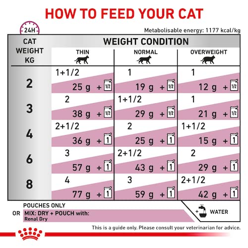 Cat food feeding chart指导如何喂养您的猫