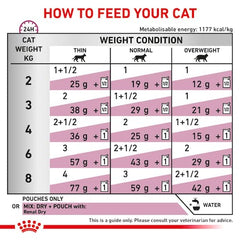 Cat food feeding chart指导如何喂养您的猫