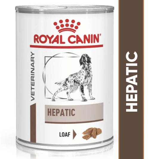 Royal Canin Veterinary Diet Hepatic can for dogs on a white background