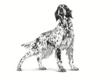 Royal Canin Veterinary Diet Satiety Weight Management Dog Dry Food