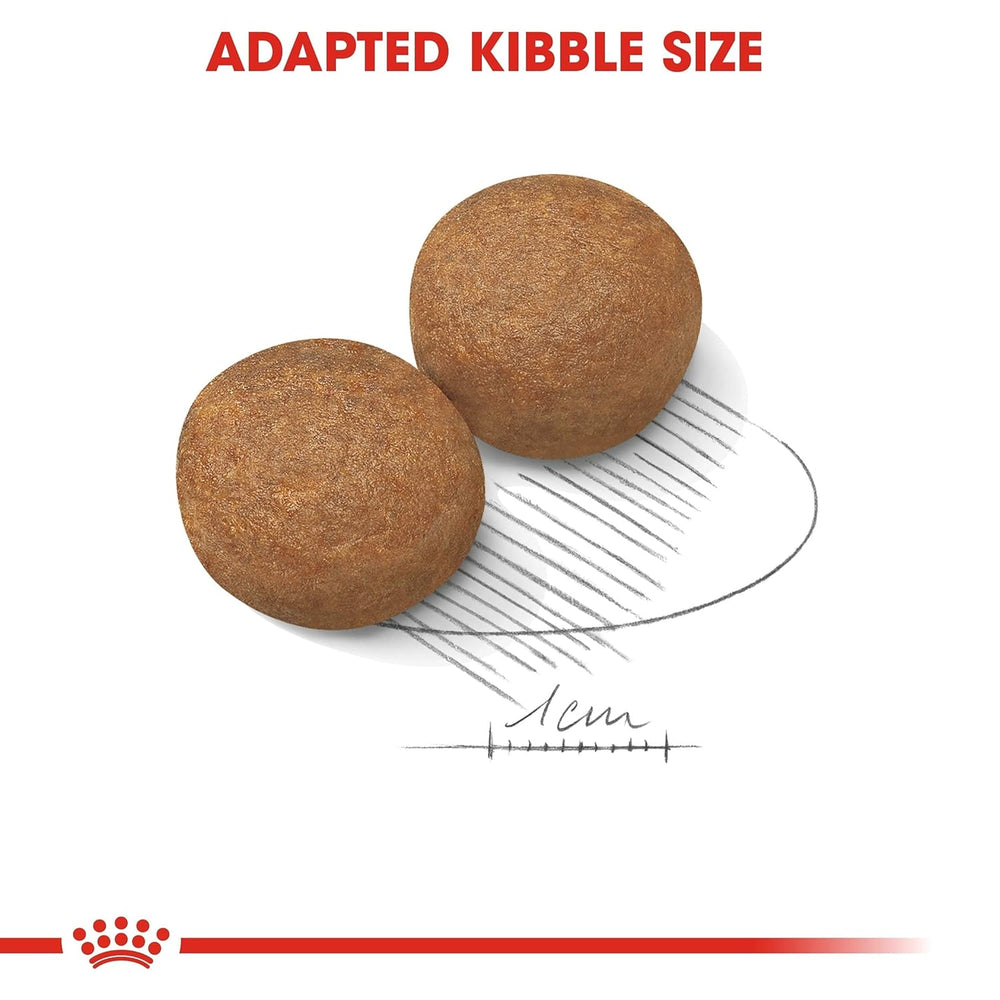 Two brown kibble pieces with a comb and measurement line on a white background, featuring Royal Canin logo.