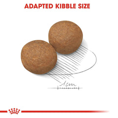 Two brown kibble pieces with a comb and measurement line on a white background, featuring Royal Canin logo.