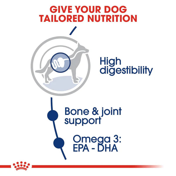 Royal Canin maxi adult dry food for digestive health