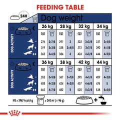 Royal Canin maxi adult food for healthy dogs