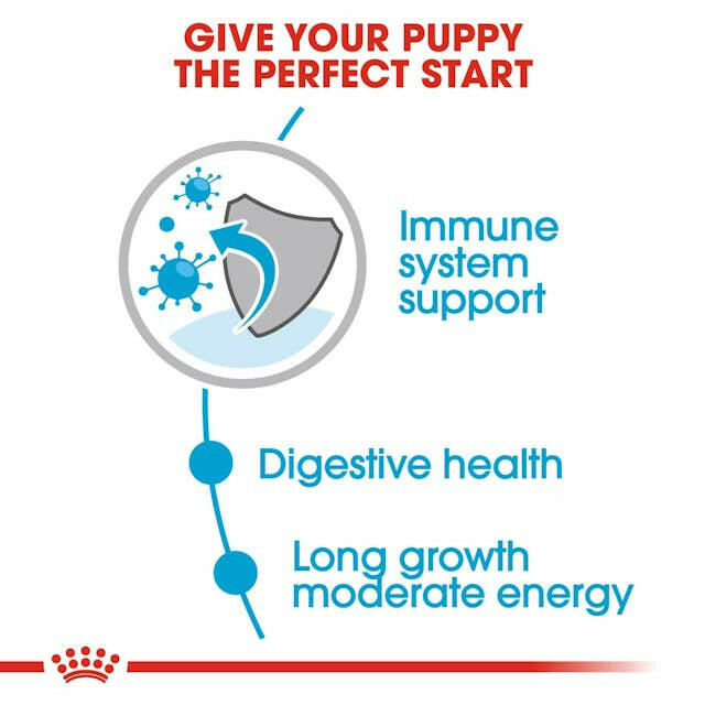 Royal Canin Maxi Puppy Wet Dog Food.