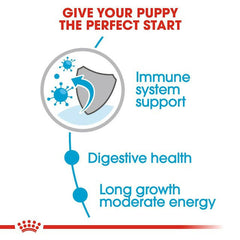 Royal Canin Maxi Puppy Wet Dog Food.
