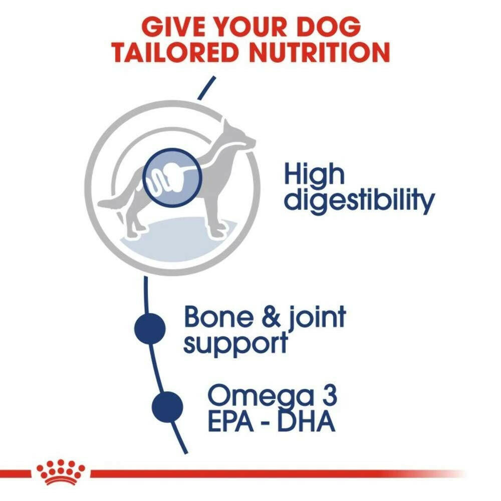 Royal Canin Maxi Adult Dog Wet Food.