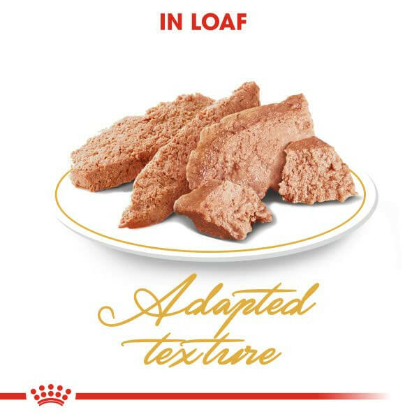 Wet cat food for glossy fur
