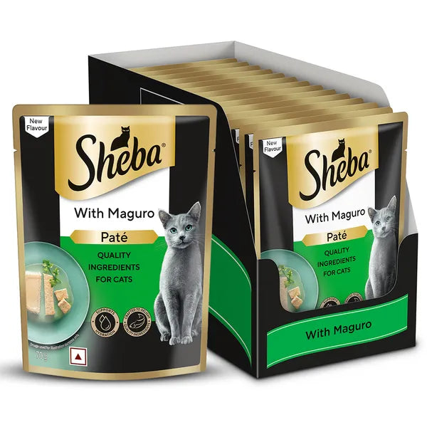 Sheba cat food pouches with maguro flavor packaging on a white background
