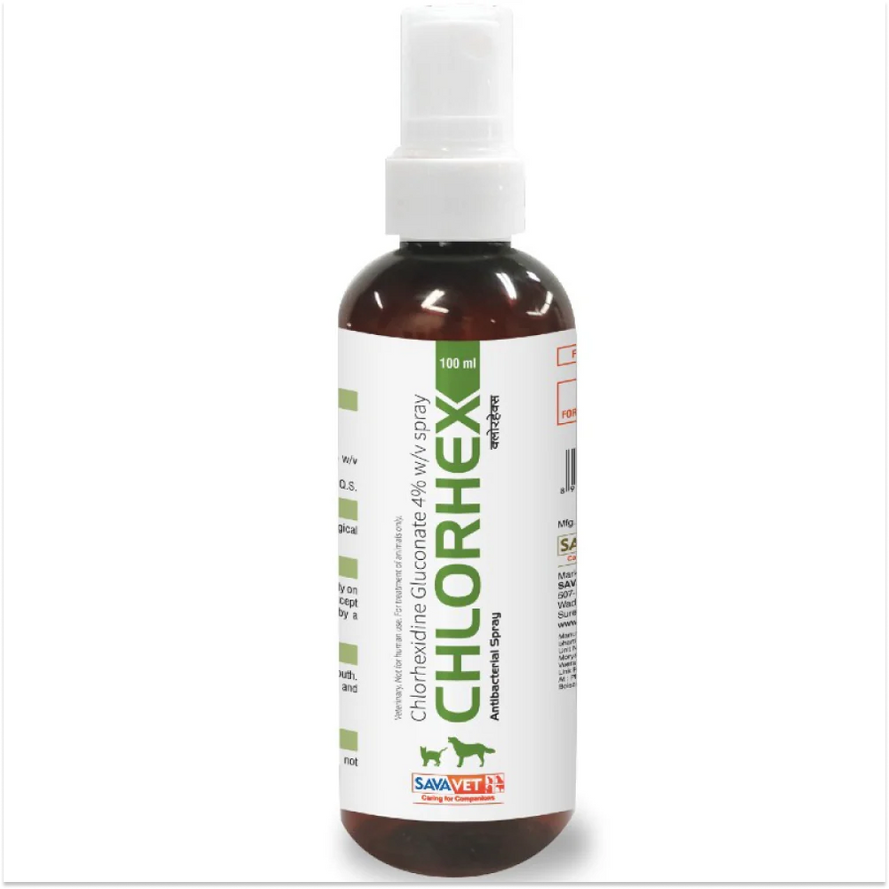 Chlorhexidine spray bottle on a white background