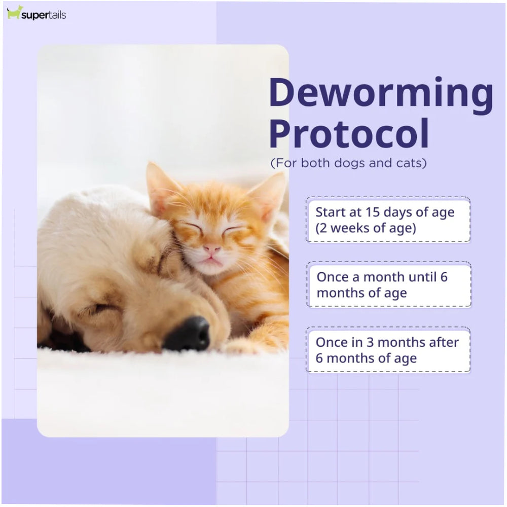 Deworming protocol for dogs and cats with a picture of a dog and cat on a light purple background.