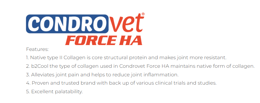 Vivaldis Condrovet Large Breed Joint Support Tablets.