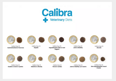 Calibra Renal Dog Food.