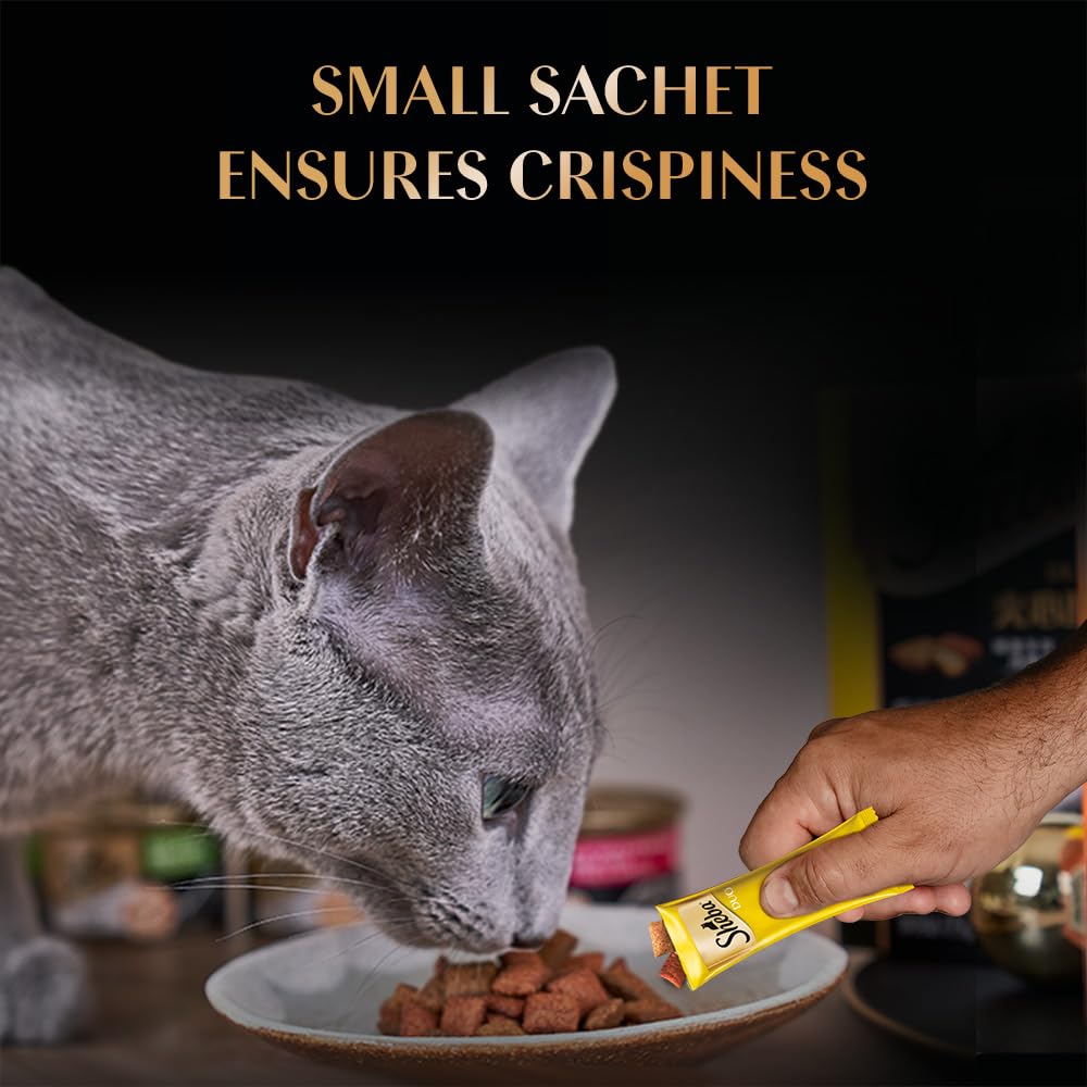 Cat eating from a plate with a small sachet held above it, on a dark background.