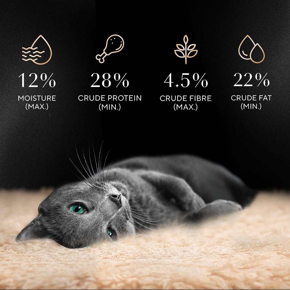 Gray cat lying on a carpet with nutritional information icons and text on a black background