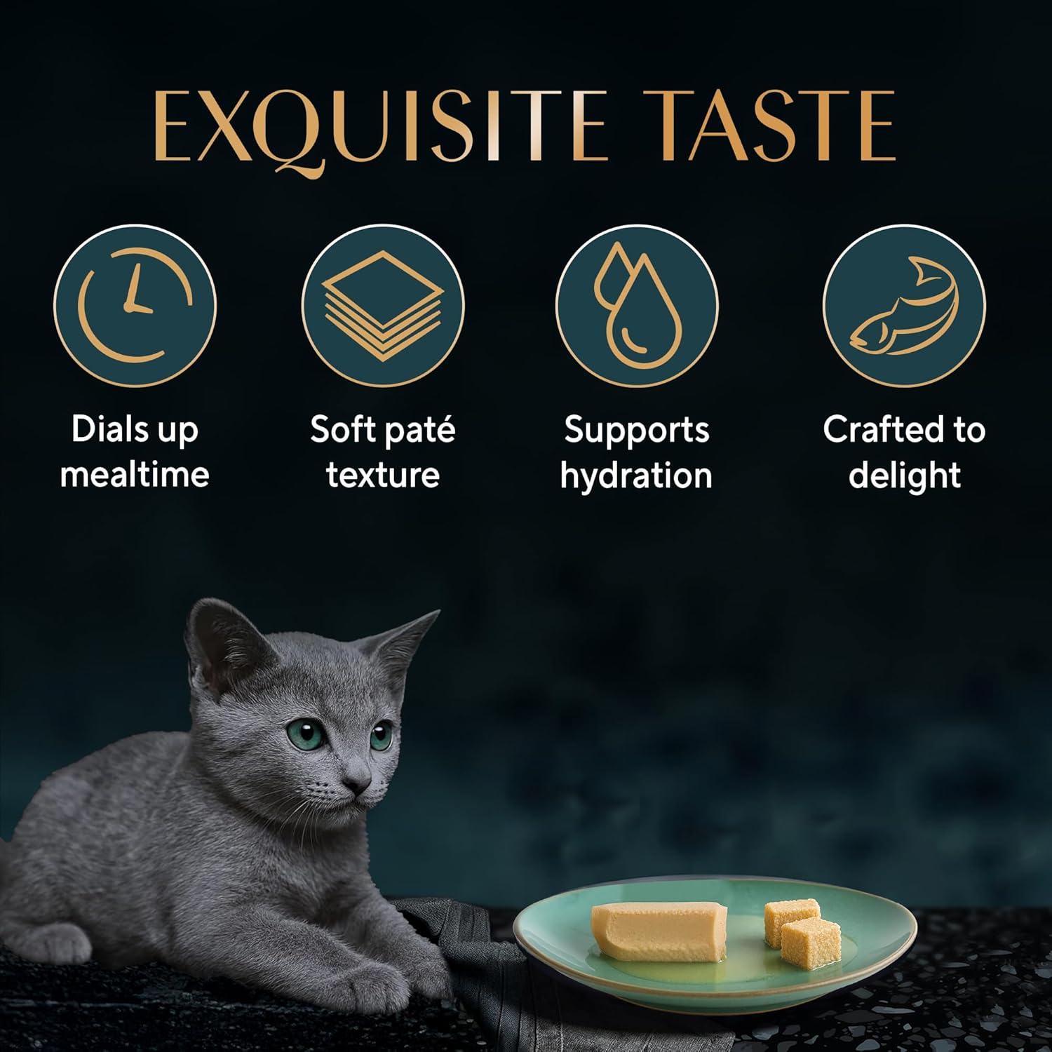 Gray cat with a plate of cat food and icons indicating features like 'Exquisite Taste' on a dark background.
