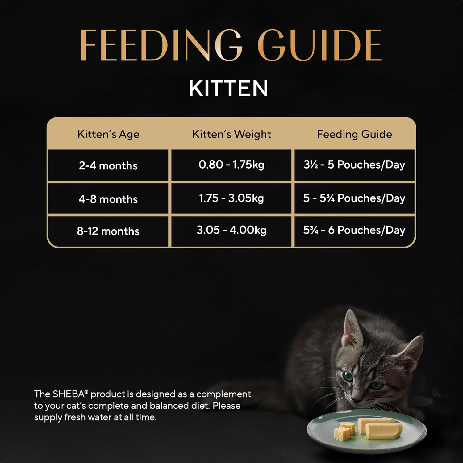 Feeding guide for kittens with a cat eating from a plate on a black background