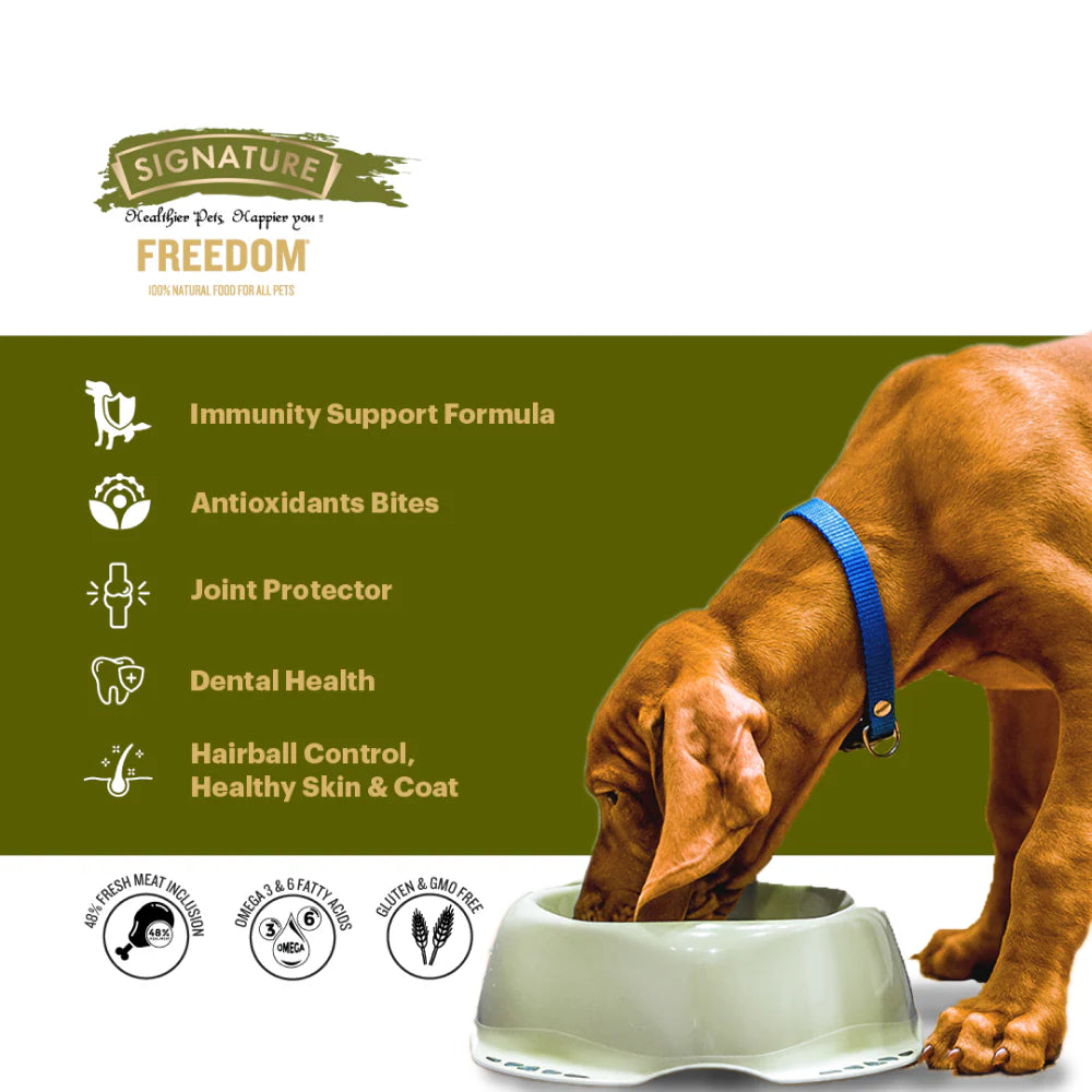 Dog eating from a bowl with Signature Freedom pet food label on a green background