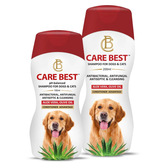 Two bottles of Care Best shampoo for dogs and cats on a white background